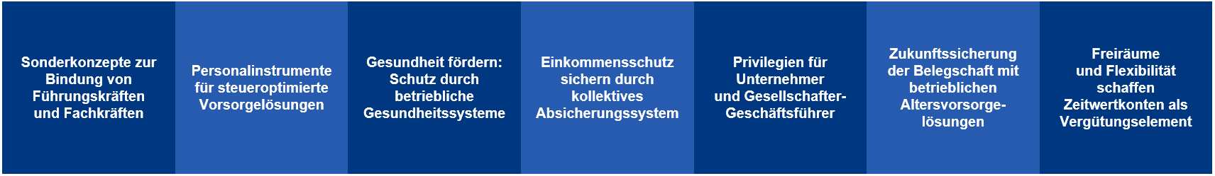 Benefit-Bausteine können z.B. sein: Sonderkonzepte für Fach- und Führungskräfte, Personalinstrumente für steueroptimierte Vorsorgelösungen, betriebliche Gesundheitssysteme, Einkommensschutz durch kollektives Absichrungssystem, Privilegien für Unternehmer und Gesellschafter-Geschäftsführer, betribliche Altersvorsorgelösungen, Zeitwertkonten als Vergütungsinstrument